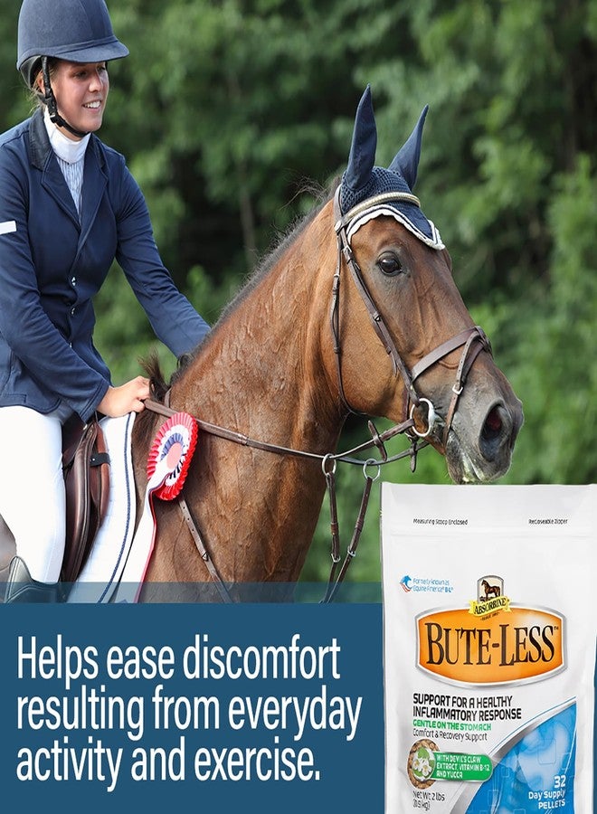 Absorbine Bute-Less Comfort & Recovery Supplement Pellets, Healthy Inflammatory Response, 2 lb / 32 Day Supply - Image 4